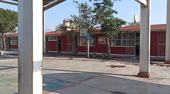 Saltillo: Desmiente director de la primaria Julio Torri presencia de garrapatas… pero acepta que hay chinches