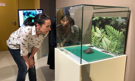 Exhiben fósil de insecto único en el mundo que tiene 300 millones de años de antigüedad