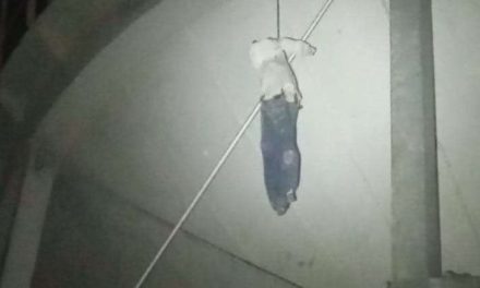 Maniquí colgado causa pánico y movilización policiaca en Nueva Rosita