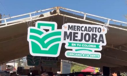 No hay lineamientos para suspender los programas sociales por elección judicial
