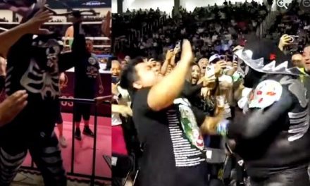 LA Park noquea a un aficionado y luego de propina un sillazo en San Luis (video)