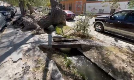 Preparan proyecto de inducción de drenaje para Bella Unión en el municipio de Arteaga