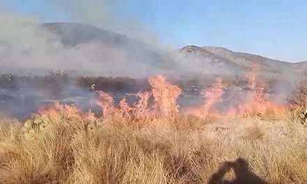 En próximas horas podrían liquidar el incendio en el rancho Los Ángeles