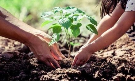 Por un Ramos Arizpe más verde, va a iniciar campaña de reforestación 