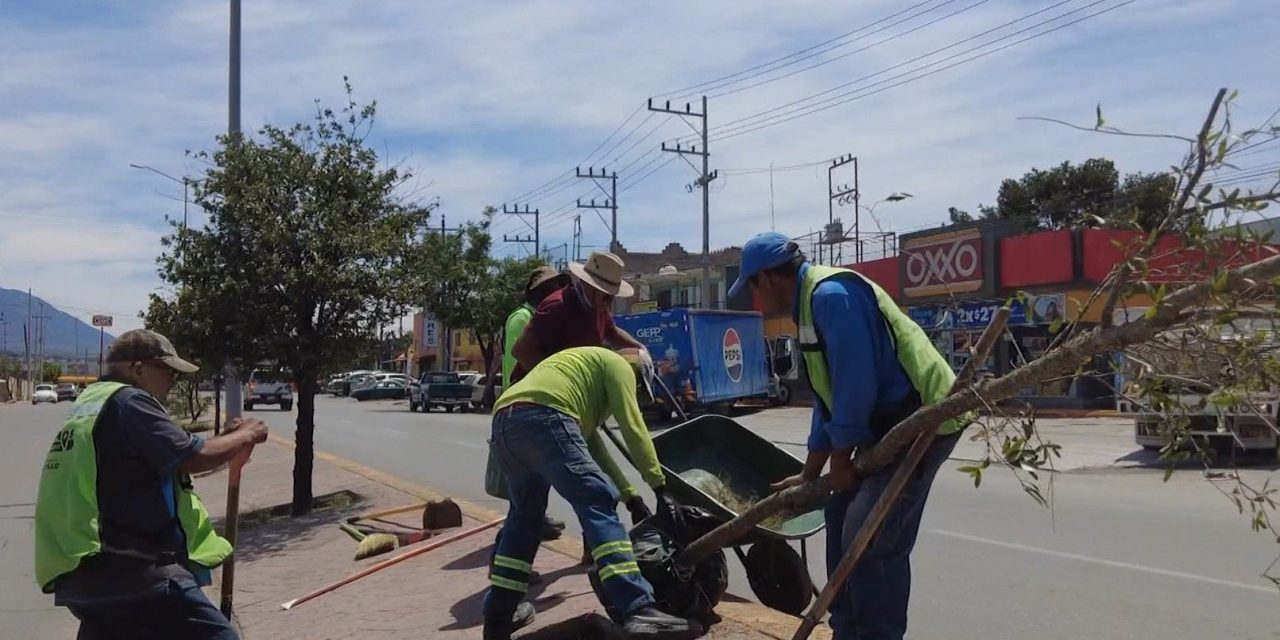 Reforesta Gobierno de Saltillo  Calzada Francisco I Madero