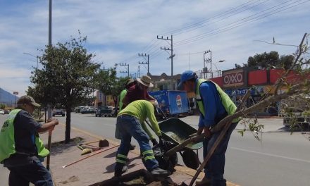 Reforesta Gobierno de Saltillo  Calzada Francisco I Madero