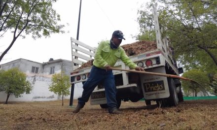 Refuerza Saltillo reforestación en la ciudad