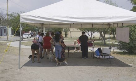 Han vacunado a más de 2 mil 500 mascotas en las jornadas que se realizan en Ramos Arizpe