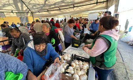 Anuncian jornada del Mercadito Mejora en tu Colonia