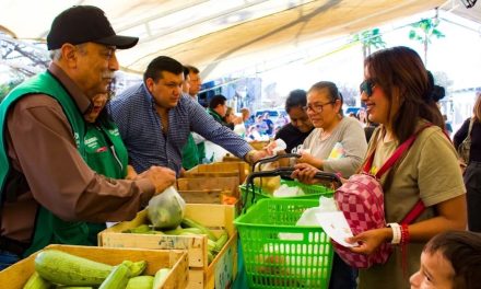 Anuncian jornada del Mercadito Mejora en Tu Colonia en el sector Morelos