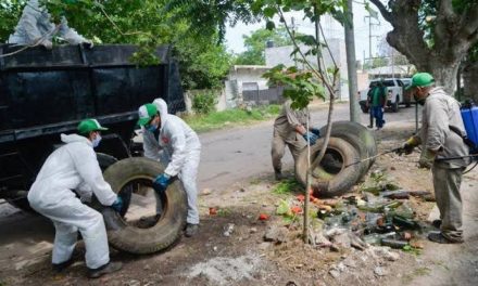 Autoridades sanitarias inician campaña contra el dengue en Acuña