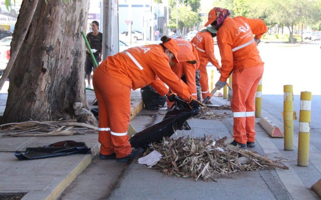 Mejoran el aspecto de la calzada Colón