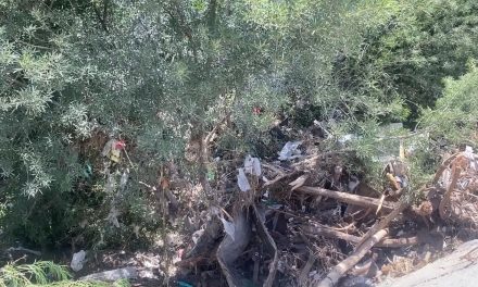 Protección Civil alerta a habitantes de zonas de riesgo en Saltillo