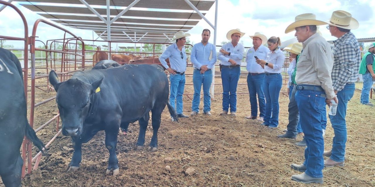 Gobierno de Coahuila impulsa con apoyos al sector ganadero