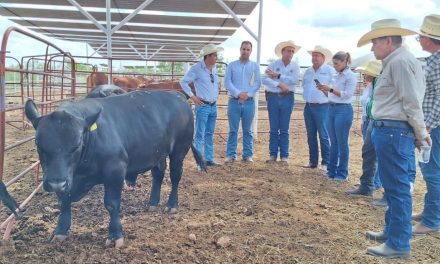 Gobierno de Coahuila impulsa con apoyos al sector ganadero