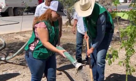 Arteaga le entra a la reforestación
