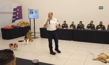En Saltillo se cuida a los animales de compañía