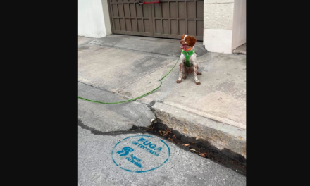 Reconocen a ‘Manchas’ como el primer perro cazafugas del país