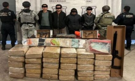 Desmantelan almacén de precursores químicos en Arteaga, Michoacán
