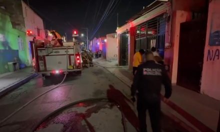 Mueren gatos intoxicados en incendio de vivienda en el centro de Saltillo