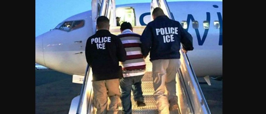México reporta 252 deportaciones tras nuevas redadas en EE.UU.