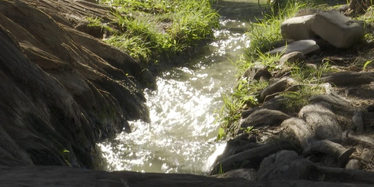 Realizarán coloquio sobre cuidado del agua