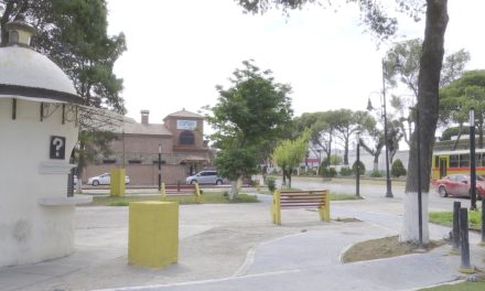 Se sanciona a quienes talen árboles sin autorización por parte del municipio en Ramos Arizpe
