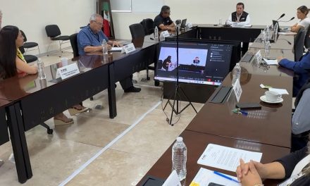Sin datos de participación ciudadana