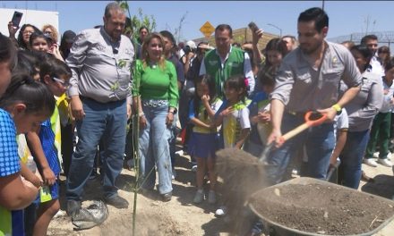 Tendrá Ramos reforestación histórica