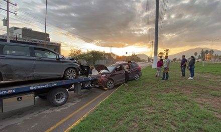 Saltillo: Ballena fuera de lugar causa accidente
