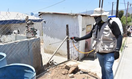 Refuerzan acciones contra el sarampión y la rickettsiosis en la región Centro