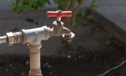Simas Sabinas llama a cuidar el agua este verano