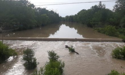 Lluvias fueron un gran beneficio para el campo tras la sequía