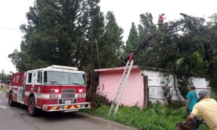Tormenta causa apagones en la región Carbonífera