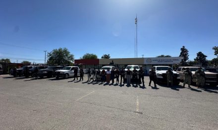 Decomisan 40 kg de mariguana en Nueva Rosita