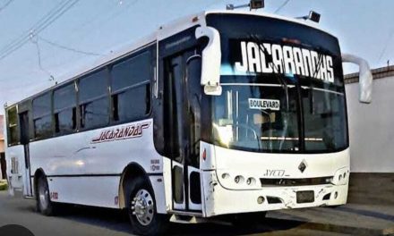 Ajustan frecuencia de servicio de transporte público por periodo vacacional
