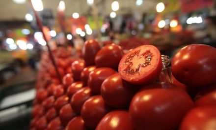 México pagará aranceles por exportación de jitomate