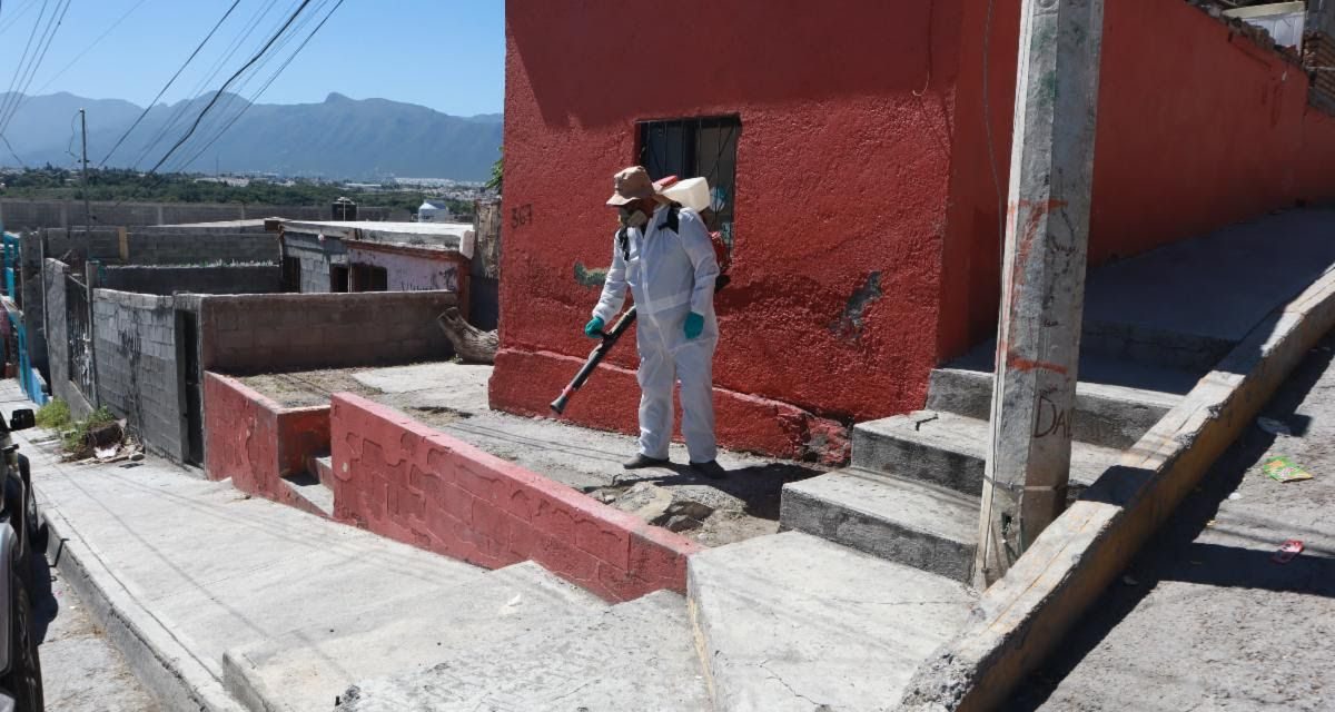 Suman esfuerzos contra la rickettsia y el dengue en Saltillo