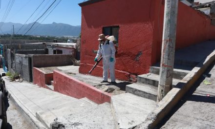 Suman esfuerzos contra la rickettsia y el dengue en Saltillo