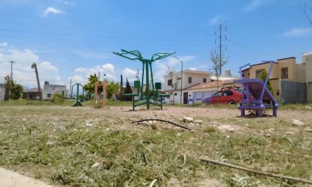 Continúan acciones del Gobierno Municipal para eliminar cableado en desuso en Distro Centro