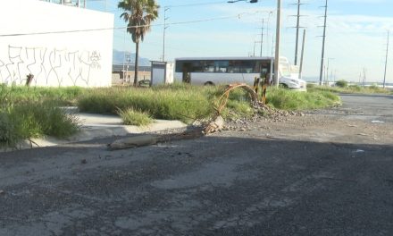 En peligro familias de Lomas del Refugio… postes y cables se cayeron