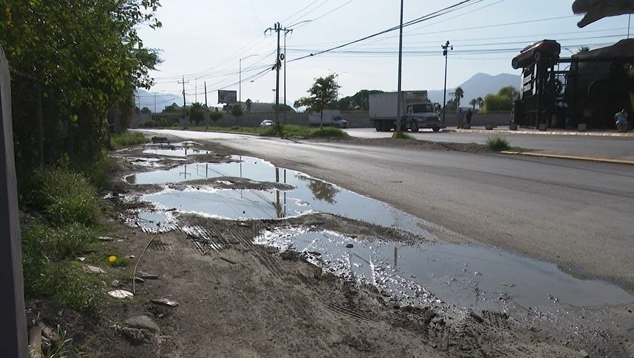 Esperan mayor presencia de mosquitos, etán dadas las condiciones por las lluvias