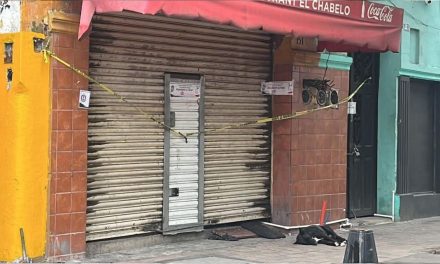‘El Hachiko de Culiacán’: Perro espera a su Dueño pero no sabe que fue asesinado