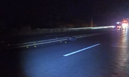 Saltillo: Hombre halla la muerte en carretera, fue embestido por un tráiler que huyó