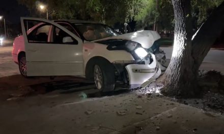Saltillo: Hombre en estado de ebriedad choca contra un árbol y abandona a u amigo que tuvo varios golpes