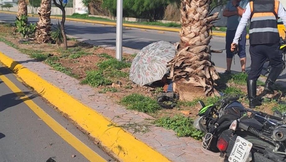 Muere motociclista tras impactarse contra una luminaria y una palmera