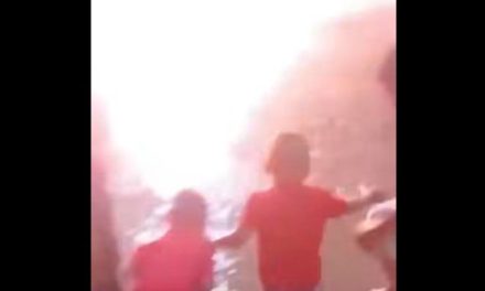 Video: Rayo impacta un árbol muy cerca de unos niños en Monclova