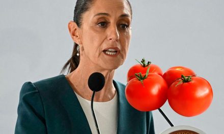 Gobierno de Sheinbaum diseña plan de apoyo para productores de jitomate ante aranceles de Estados Unidos