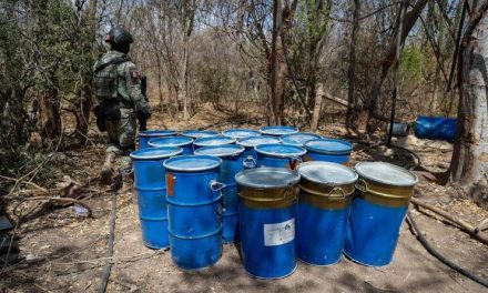 Ubican bodega con precursores químicos en zona serrana de Sinaloa
