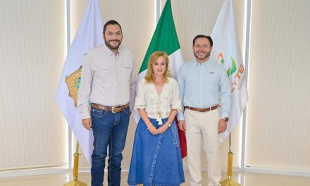 Carlos Villarreal coordina proyectos educativos